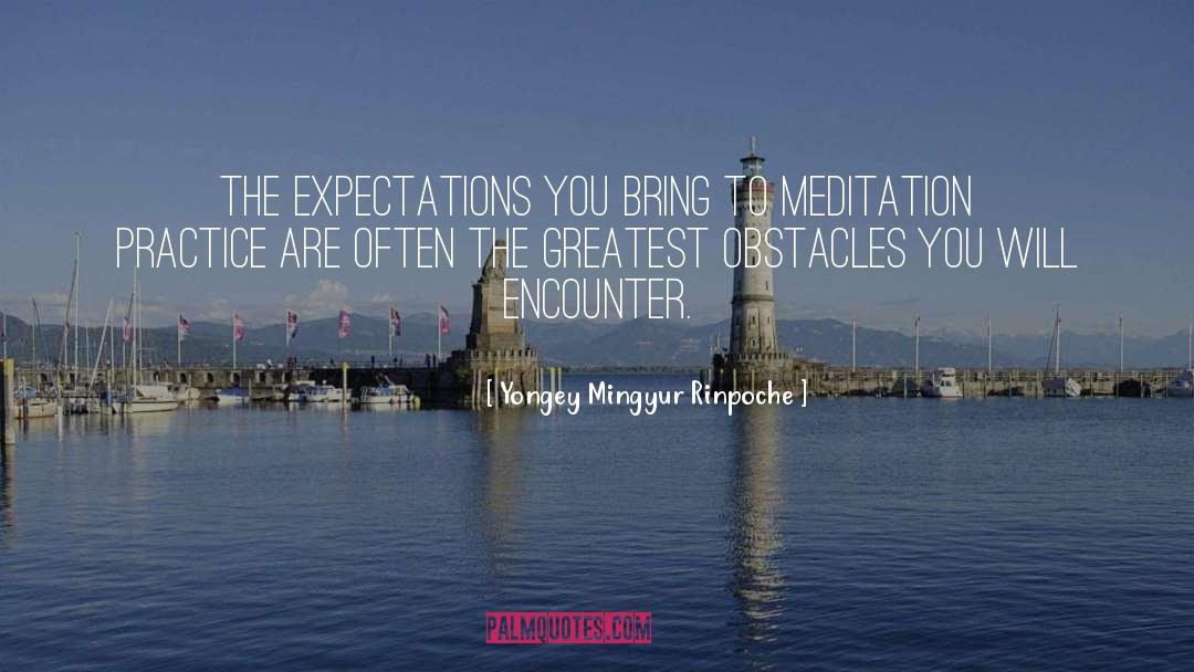 Yongey Mingyur Rinpoche Quotes: The expectations you bring to