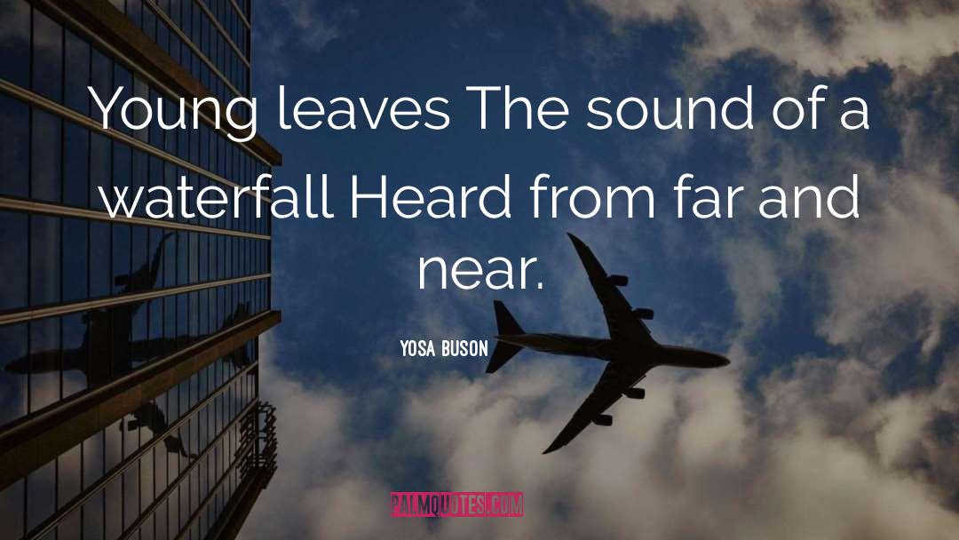 Yosa Buson Quotes: Young leaves The sound of