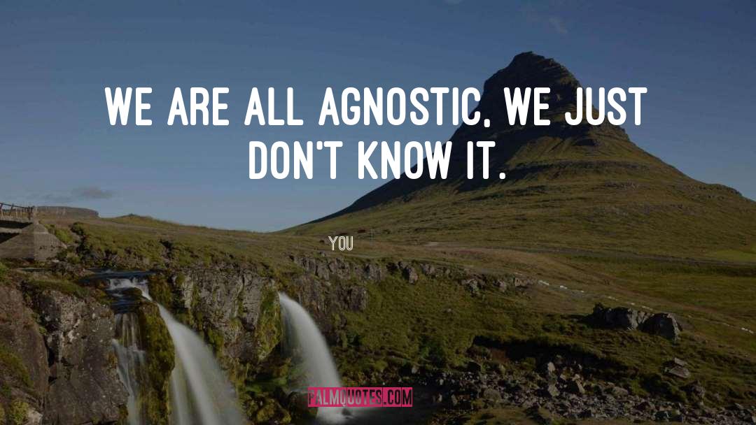 You Quotes: We are all agnostic, we