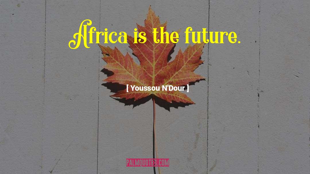 Youssou N'Dour Quotes: Africa is the future.