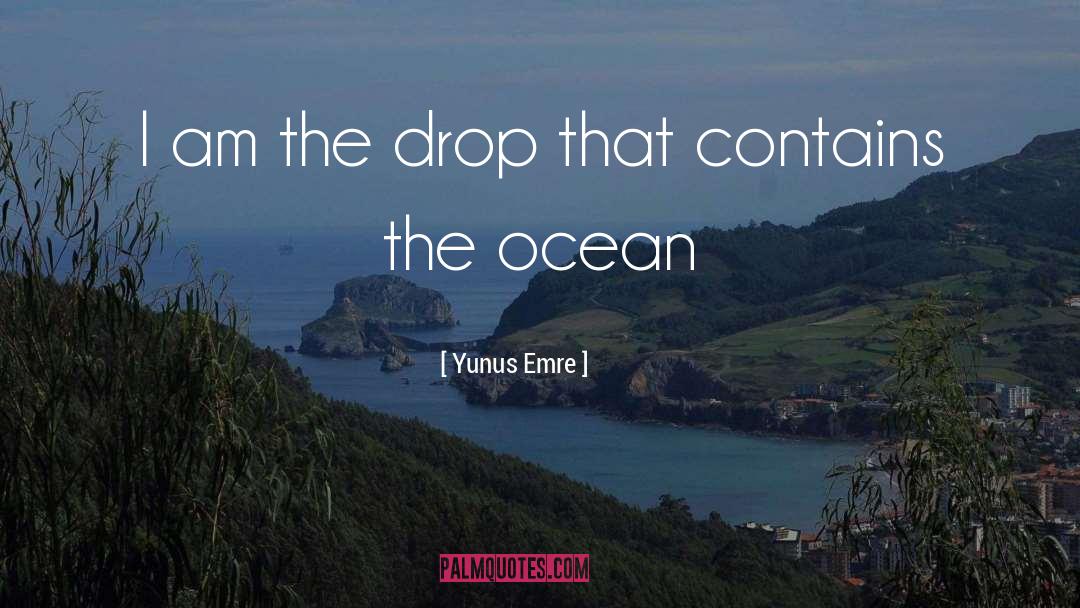 Yunus Emre Quotes: I am the drop that