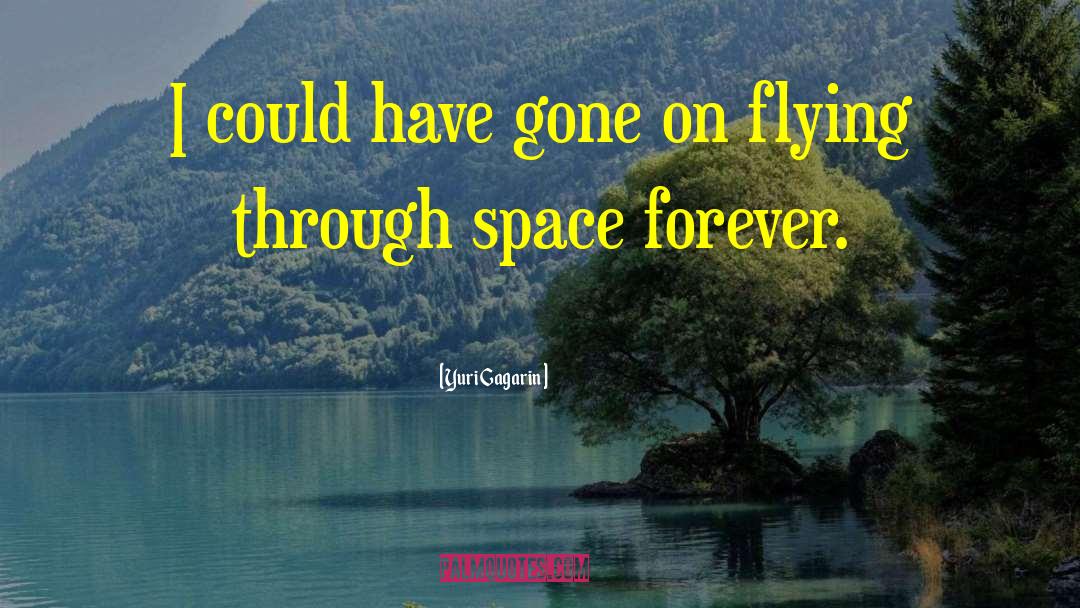 Yuri Gagarin Quotes: I could have gone on