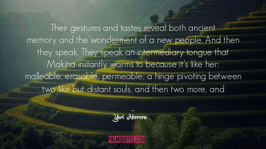 Yuri Herrera Quotes: Their gestures and tastes reveal