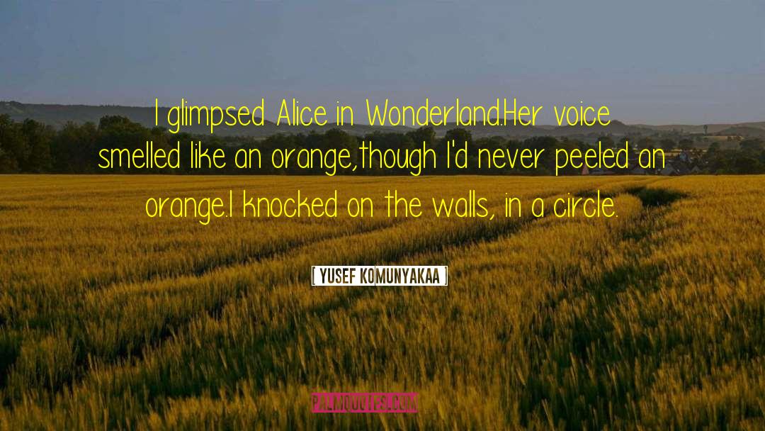 Yusef Komunyakaa Quotes: I glimpsed Alice in Wonderland.<br>Her