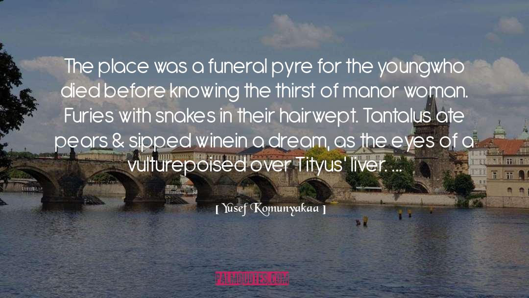 Yusef Komunyakaa Quotes: The place was a funeral