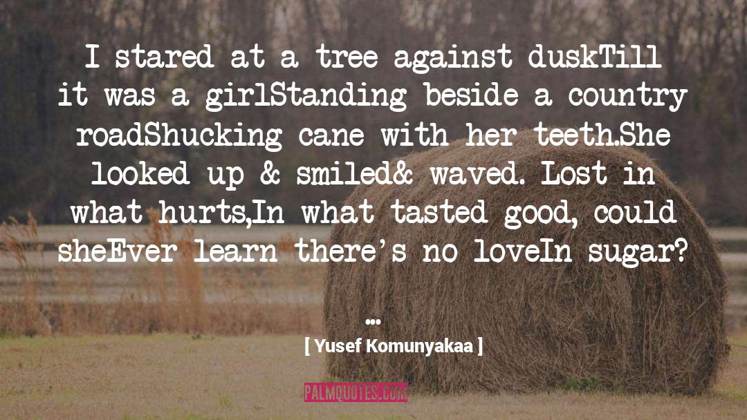 Yusef Komunyakaa Quotes: I stared at a tree