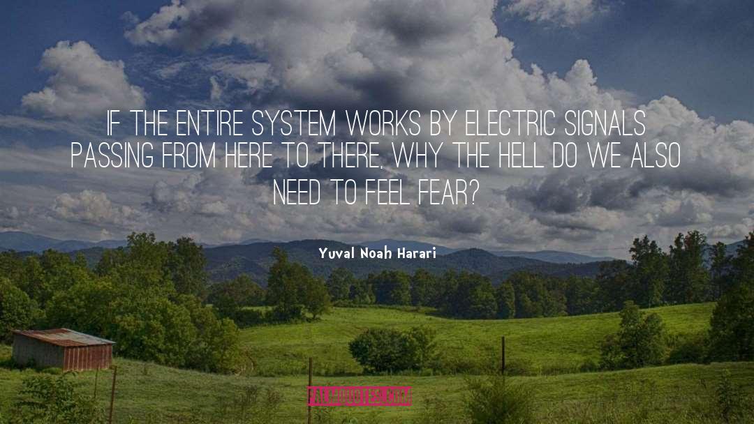 Yuval Noah Harari Quotes: If the entire system works