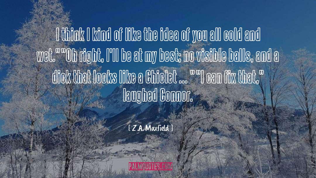 Z.A. Maxfield Quotes: I think I kind of
