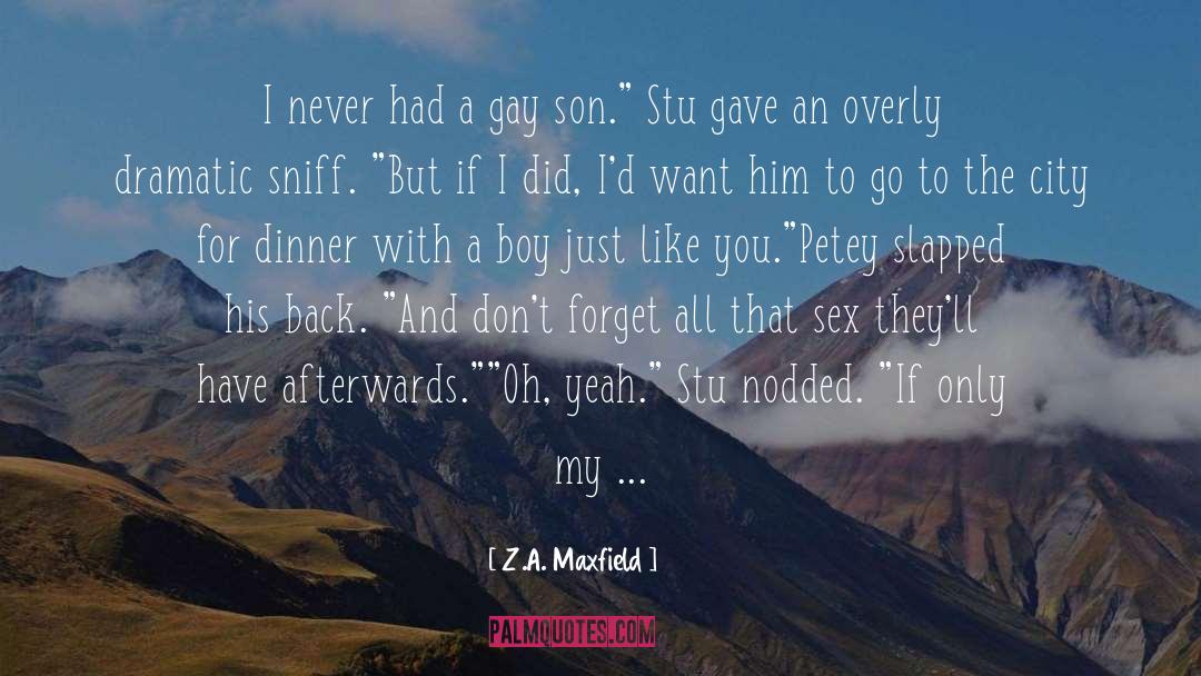 Z.A. Maxfield Quotes: I never had a gay
