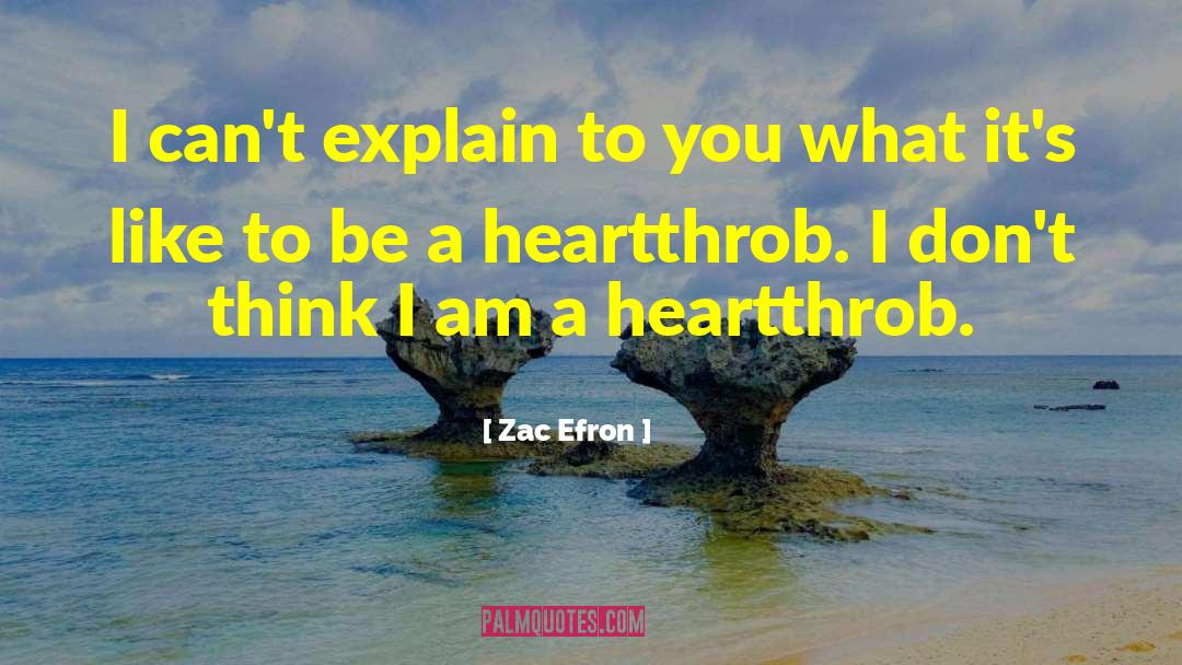 Zac Efron Quotes: I can't explain to you