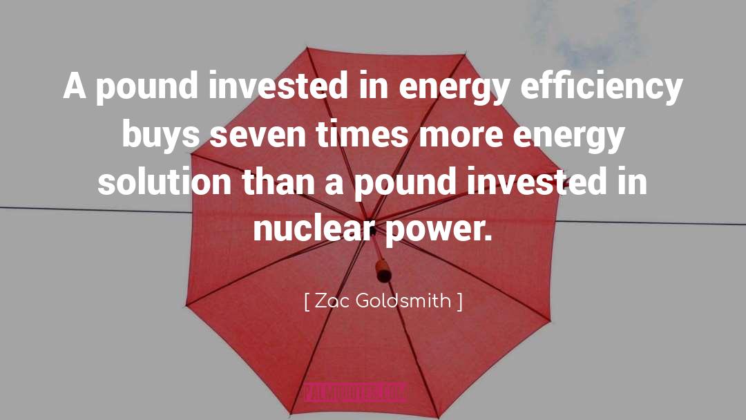 Zac Goldsmith Quotes: A pound invested in energy