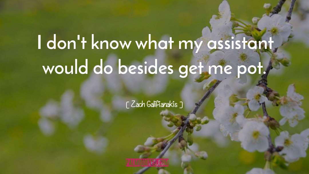 Zach Galifianakis Quotes: I don't know what my