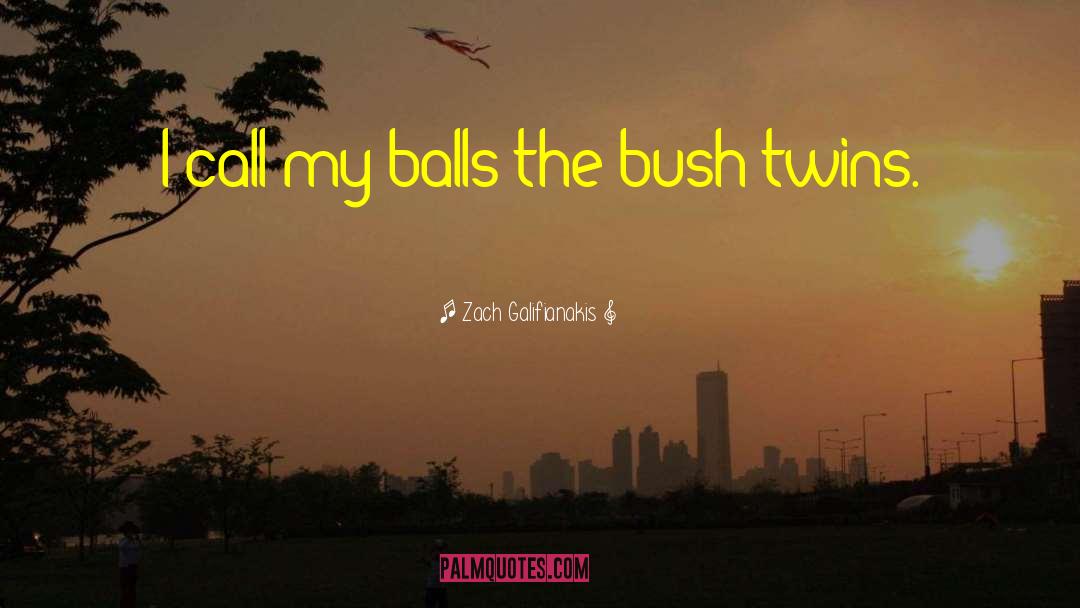 Zach Galifianakis Quotes: I call my balls the