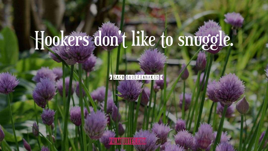 Zach Galifianakis Quotes: Hookers don't like to snuggle.