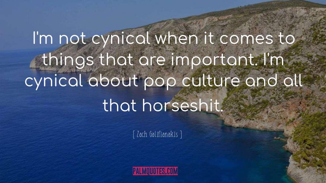 Zach Galifianakis Quotes: I'm not cynical when it