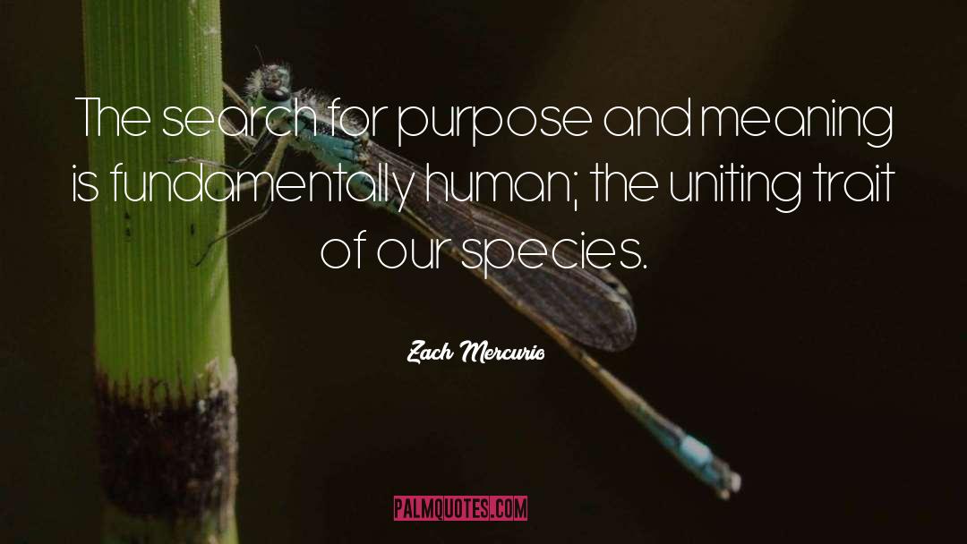 Zach Mercurio Quotes: The search for purpose and