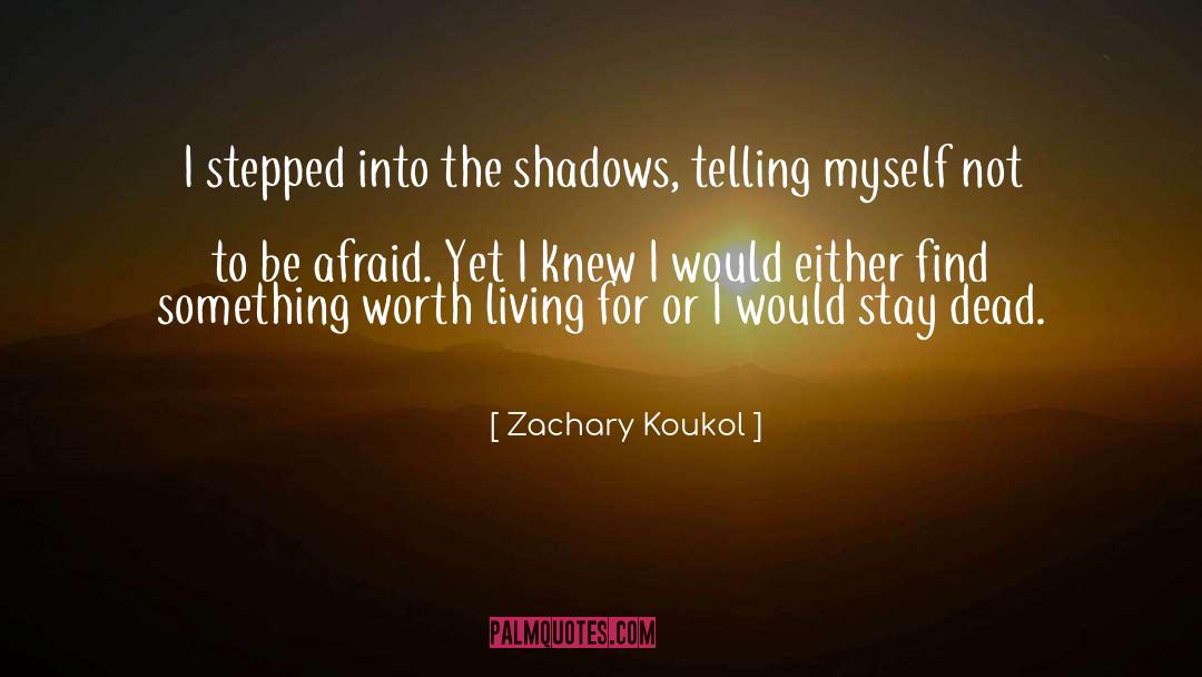 Zachary Koukol Quotes: I stepped into the shadows,