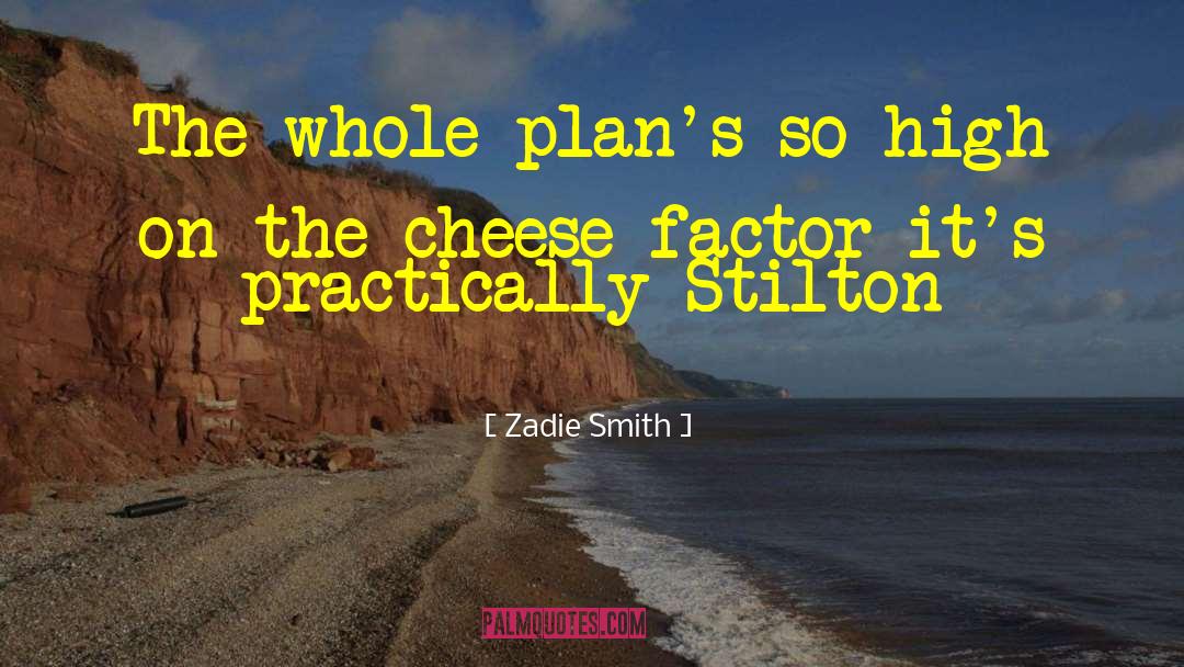 Zadie Smith Quotes: The whole plan's so high