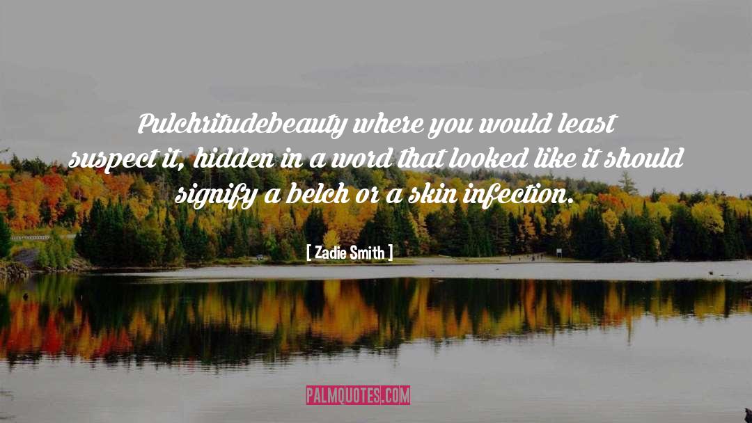 Zadie Smith Quotes: Pulchritude<br>beauty where you would least