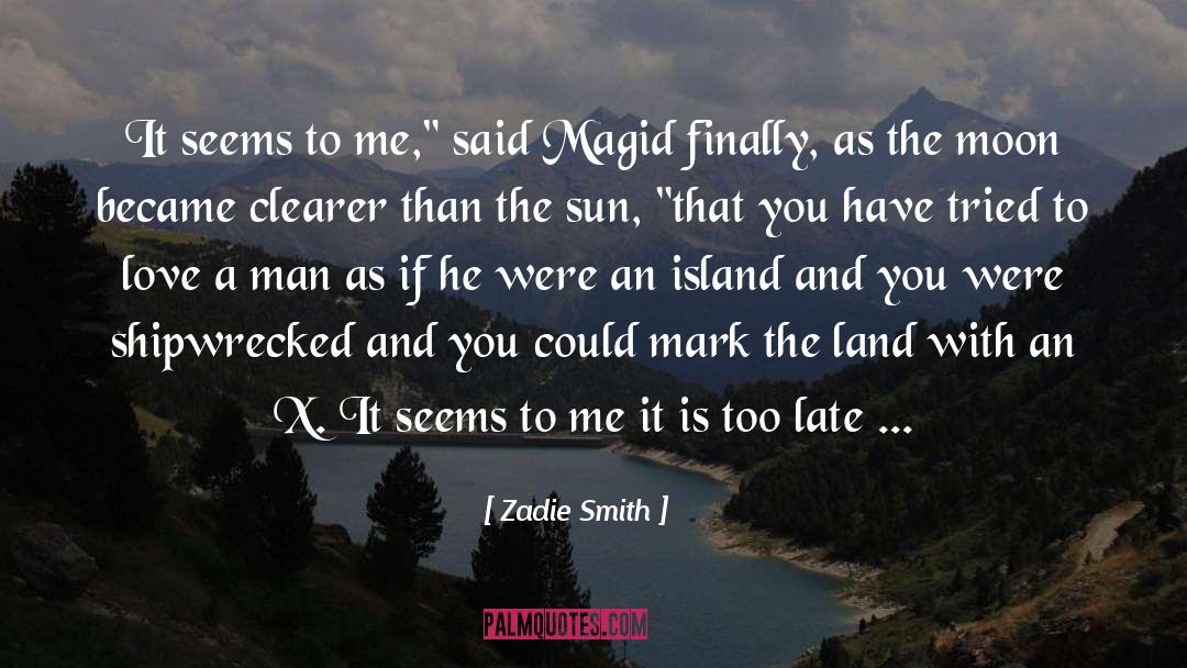 Zadie Smith Quotes: It seems to me,