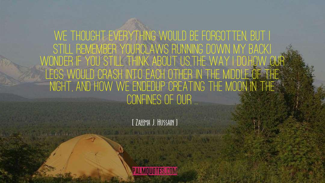 Zaeema J. Hussain Quotes: We thought everything would be