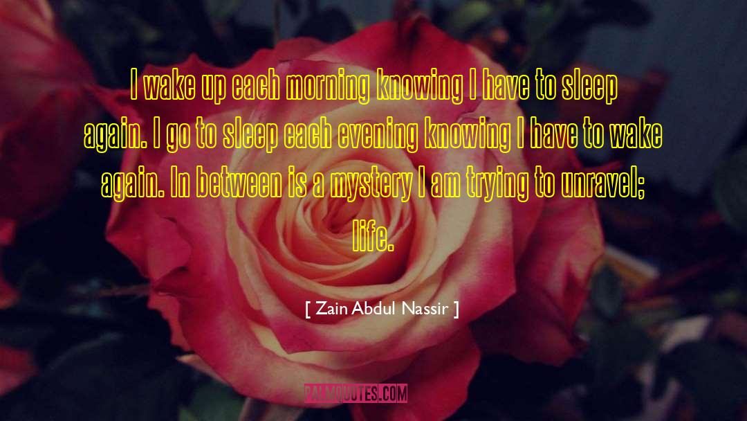 Zain Abdul Nassir Quotes: I wake up each morning