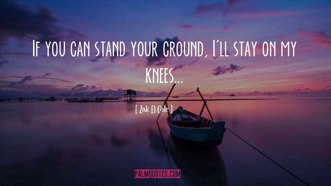 Zak D Cole Quotes: If you can stand your