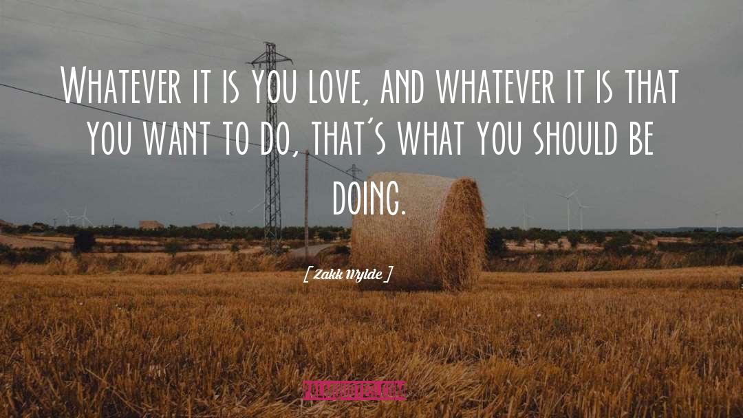 Zakk Wylde Quotes: Whatever it is you love,