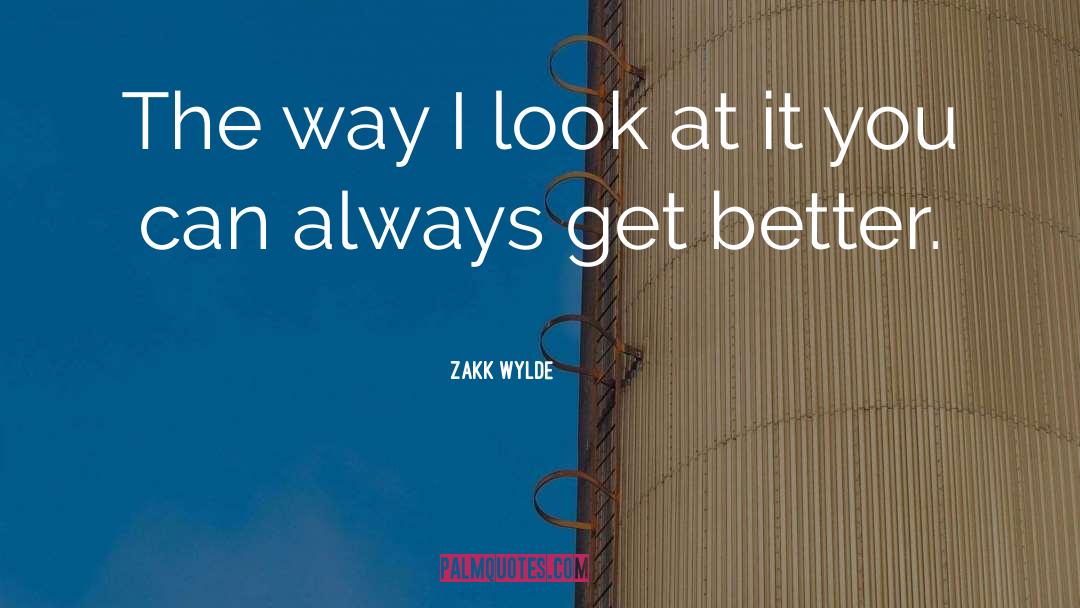 Zakk Wylde Quotes: The way I look at