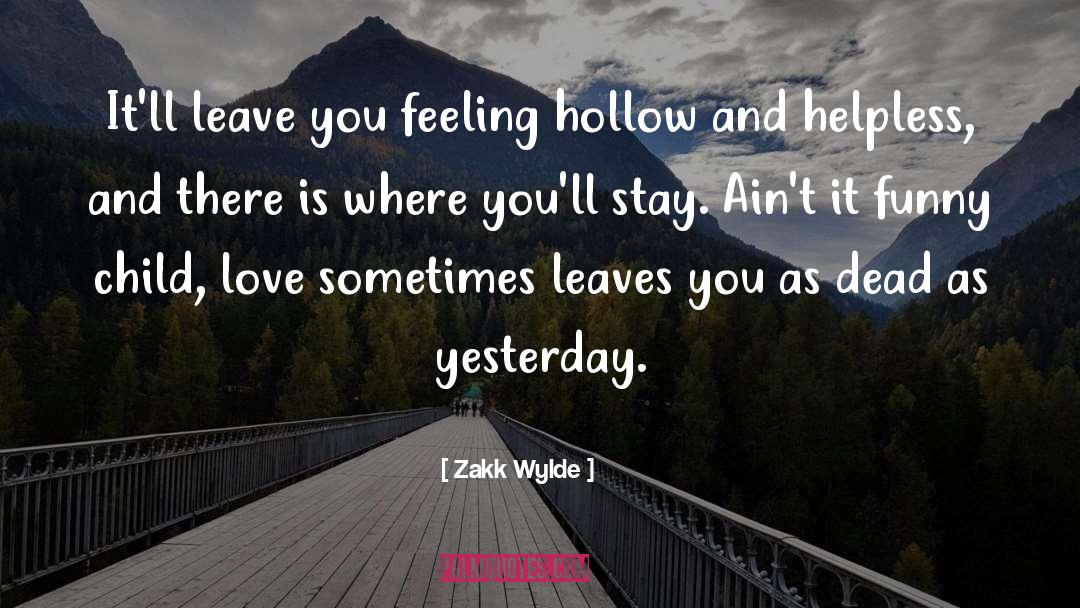 Zakk Wylde Quotes: It'll leave you feeling hollow