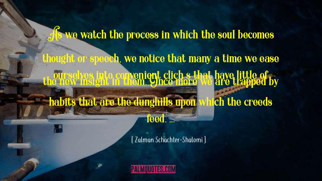 Zalman Schachter-Shalomi Quotes: As we watch the process