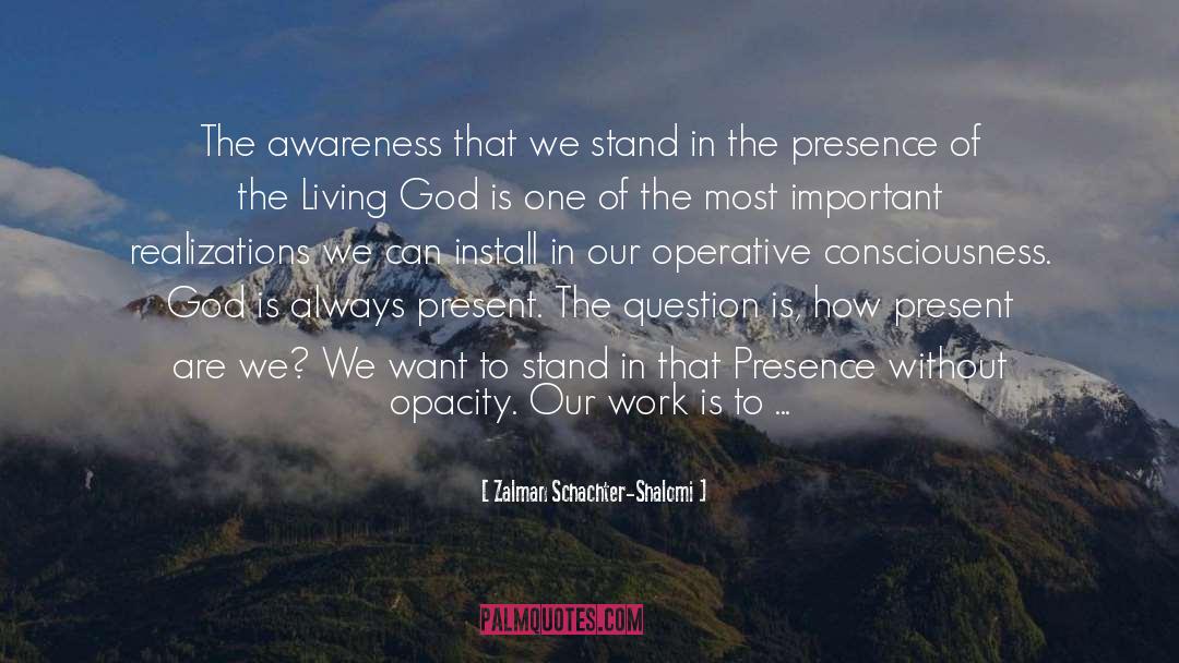 Zalman Schachter-Shalomi Quotes: The awareness that we stand