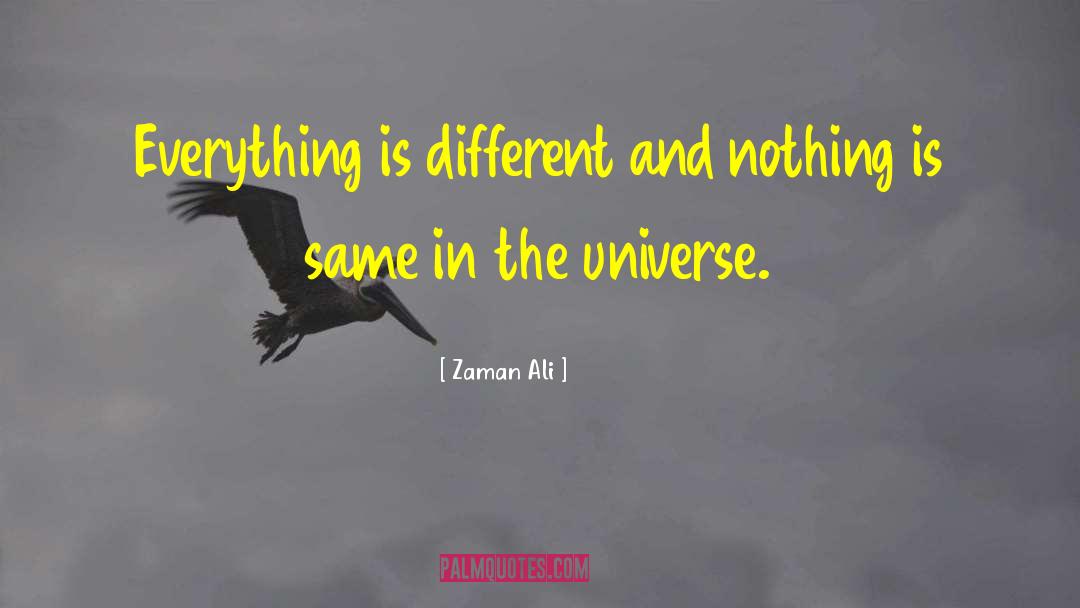 Zaman Ali Quotes: Everything is different and nothing