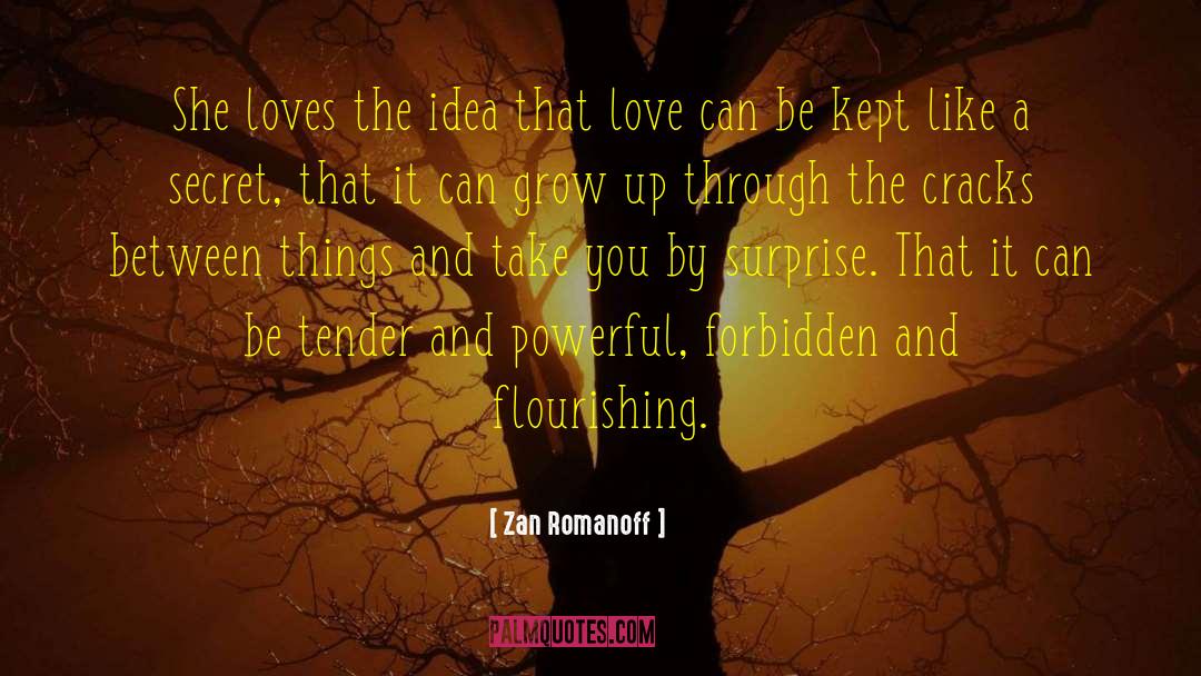 Zan Romanoff Quotes: She loves the idea that