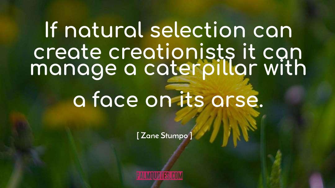 Zane Stumpo Quotes: If natural selection can create