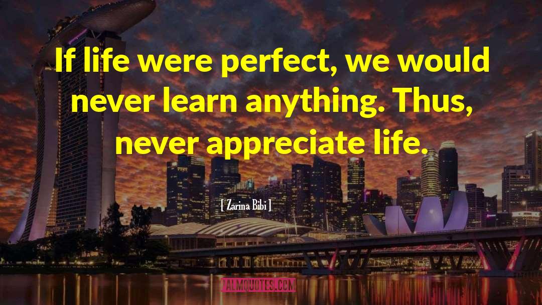 Zarina Bibi Quotes: If life were perfect, we