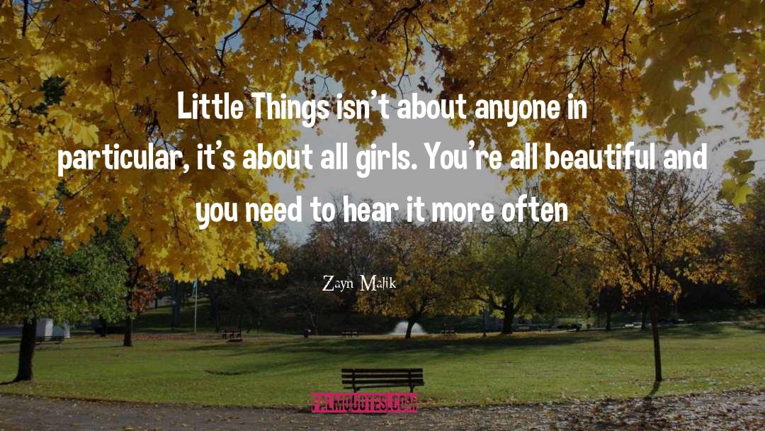 Zayn Malik Quotes: Little Things isn't about anyone