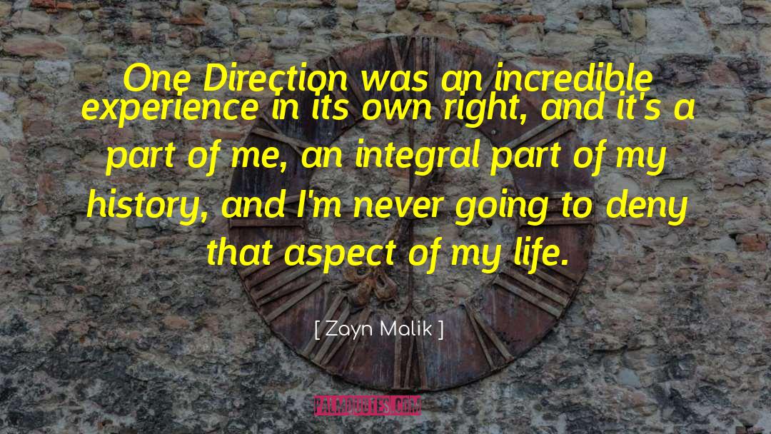 Zayn Malik Quotes: One Direction was an incredible