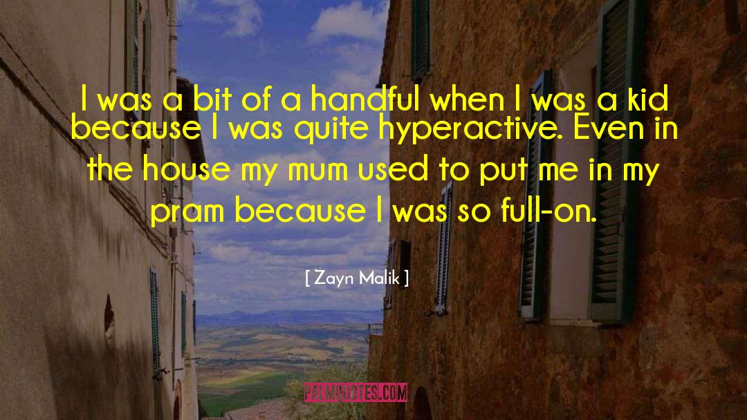 Zayn Malik Quotes: I was a bit of