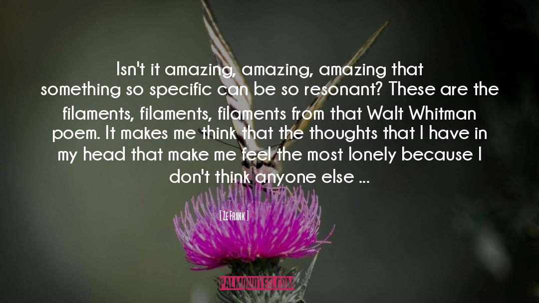 Ze Frank Quotes: Isn't it amazing, amazing, amazing