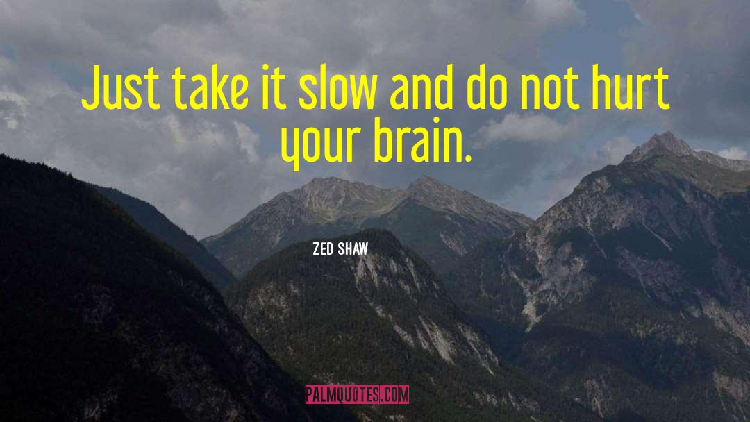 Zed Shaw Quotes: Just take it slow and