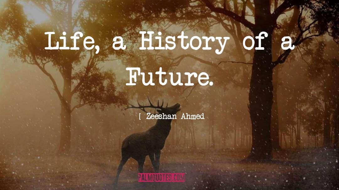 Zeeshan Ahmed Quotes: Life, a History of a