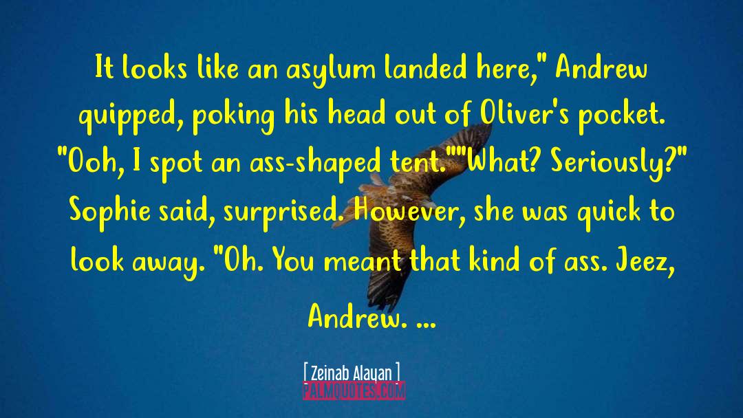 Zeinab Alayan Quotes: It looks like an asylum