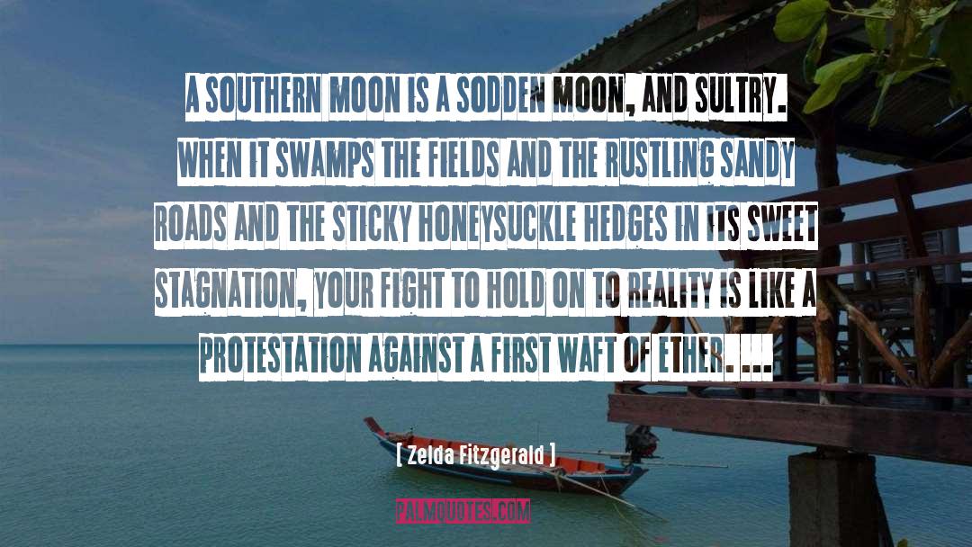 Zelda Fitzgerald Quotes: A southern moon is a