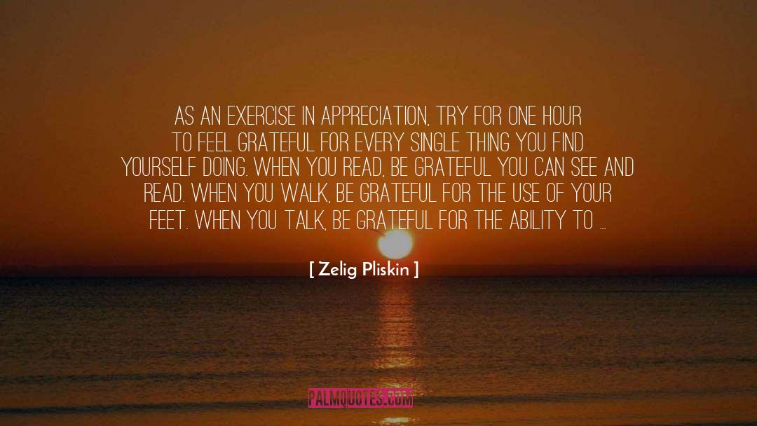 Zelig Pliskin Quotes: As an exercise in appreciation,