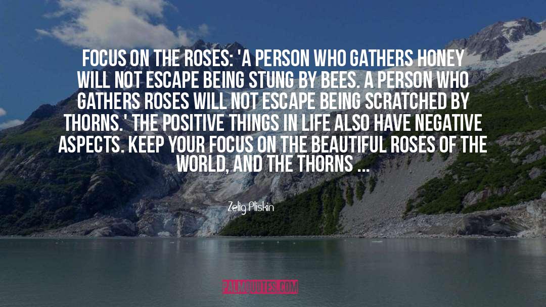 Zelig Pliskin Quotes: Focus on the roses: 'A