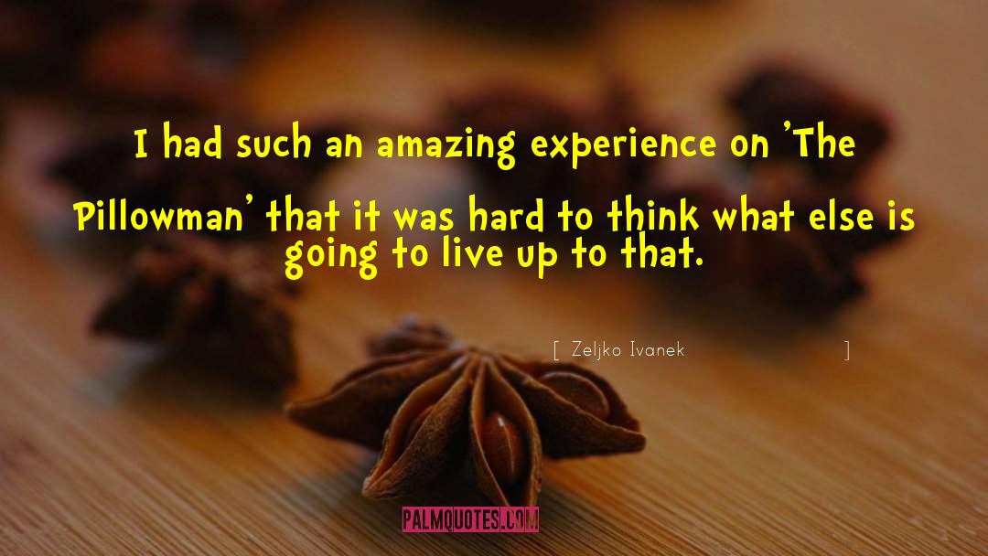 Zeljko Ivanek Quotes: I had such an amazing