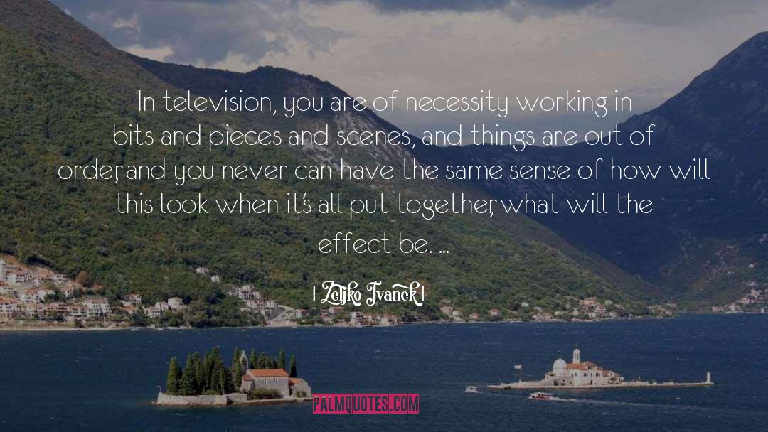Zeljko Ivanek Quotes: In television, you are of