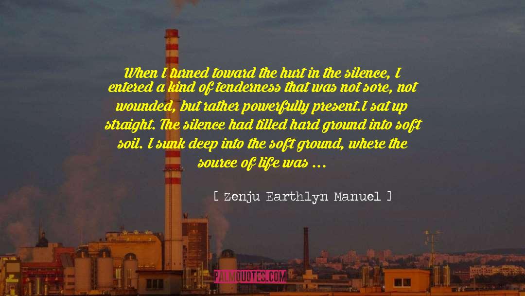 Zenju Earthlyn Manuel Quotes: When I turned toward the