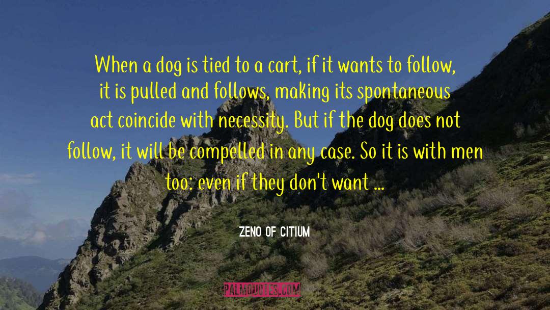Zeno Of Citium Quotes: When a dog is tied